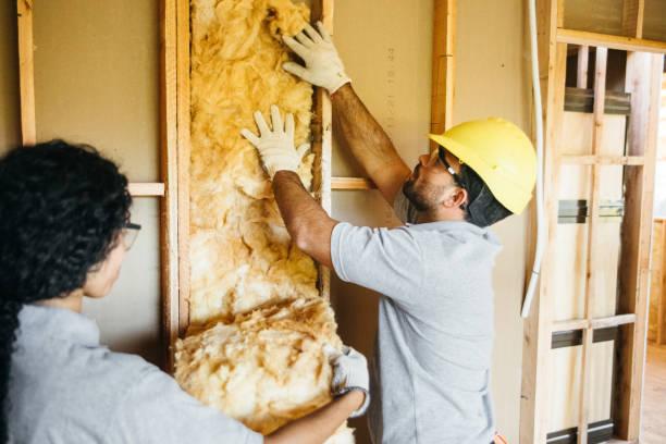 Best Commercial Insulation Services  in Saylorville, IA